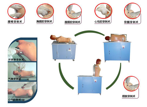 高级全自动多种穿刺叩诊电脑训练模拟人