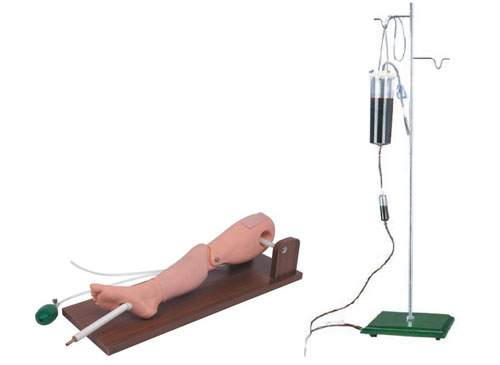 骨内灌注及股静脉穿刺腿部模型